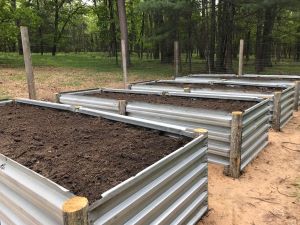 All of the garden beds are ready for planting!